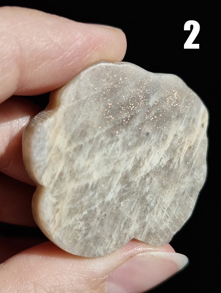 Product image 5 of 12