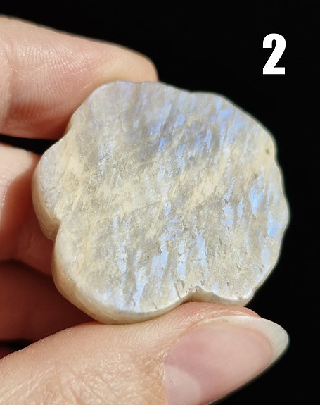 Product image 4 of 12