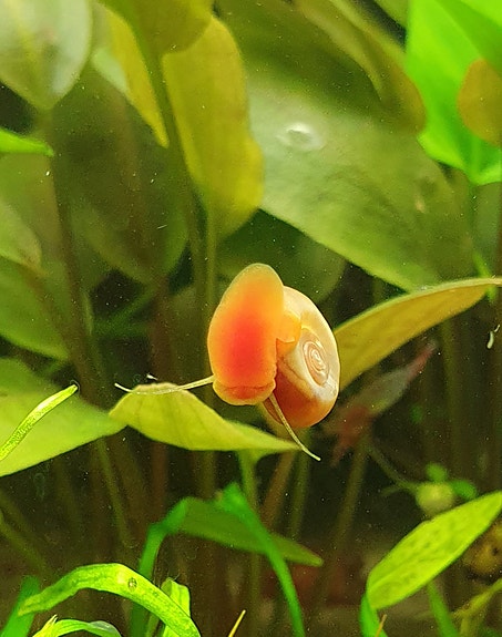 Product image 1 of 8