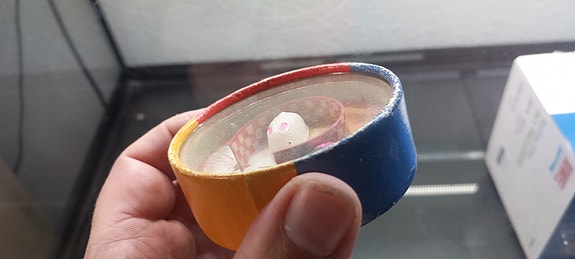 Product image 6 of 10