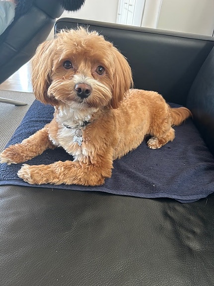 Product image 8 of 9