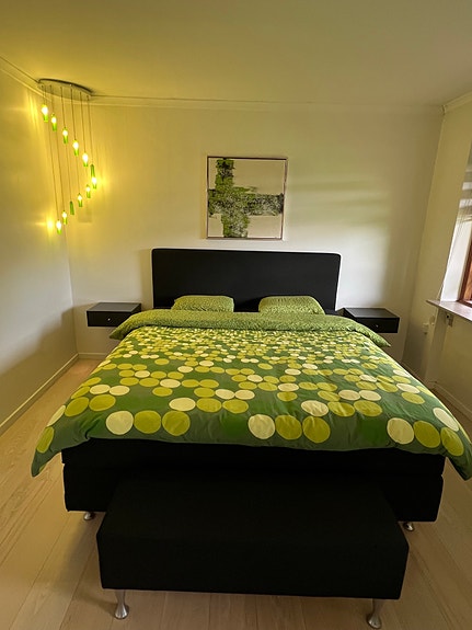 Product image 1 of 8