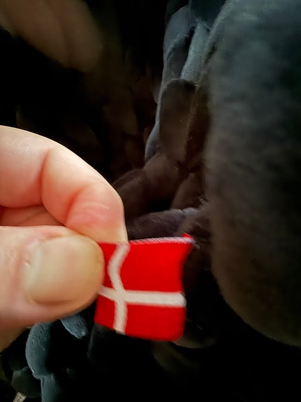 Product image 3 of 7