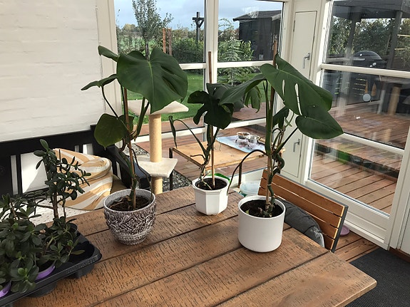 Product image 1 of 8