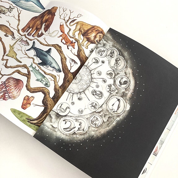Product image 11 of 19