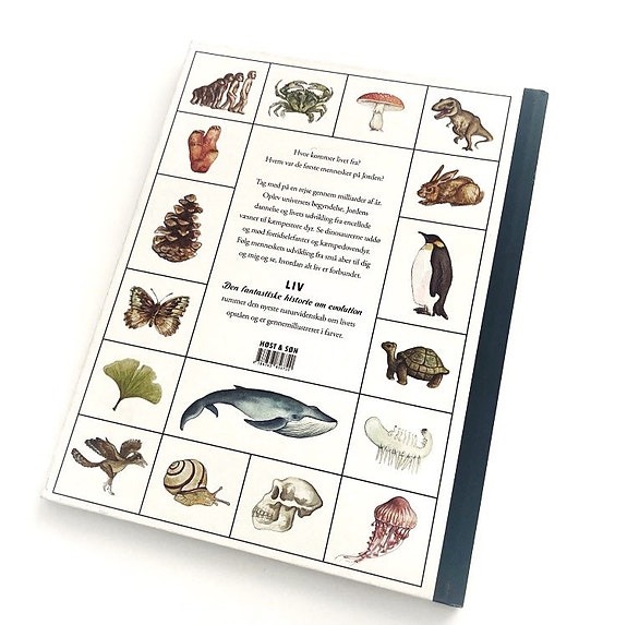 Product image 19 of 19