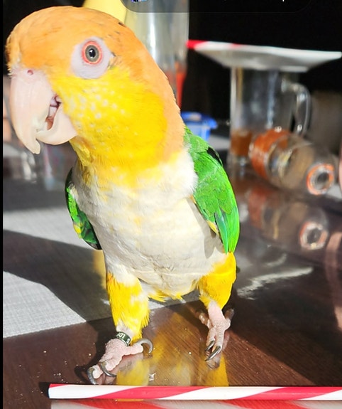 Product image 4 of 10