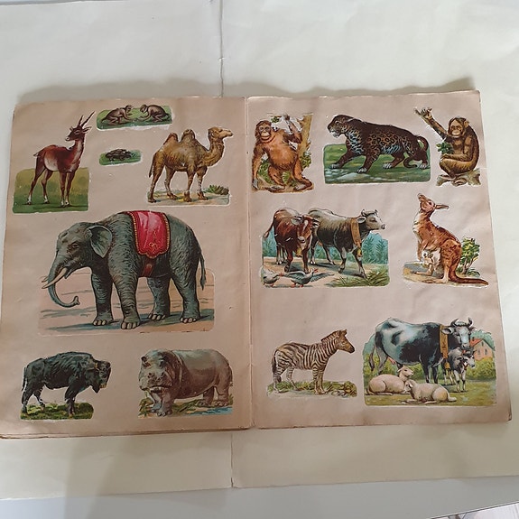 Product image 8 of 10