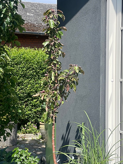 Product image 11 of 12