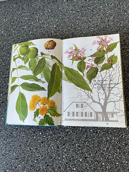 Product image 14 of 14