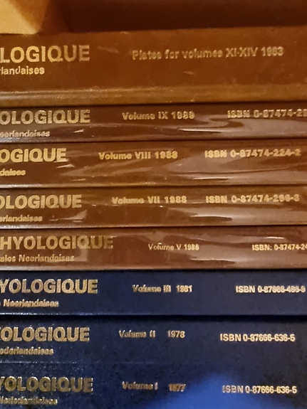 Product image 2 of 10