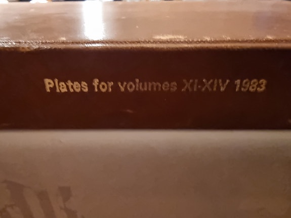 Product image 41 of 42