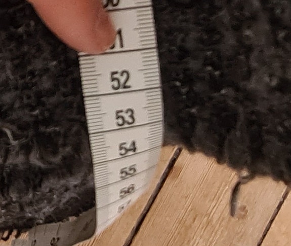 Product image 11 of 11
