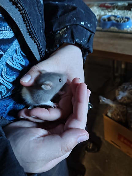 Product image 3 of 9