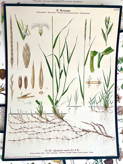 Product image 33 of 34