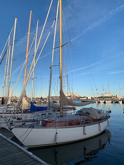 Vindø 50
