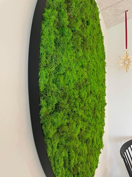 Product image 16 of 16