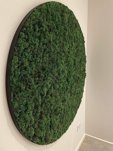 Product image 12 of 16