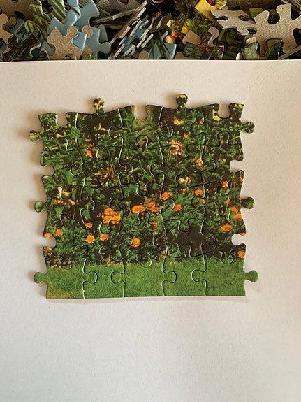 Product image 16 of 16