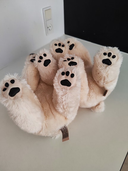 Product image 6 of 8