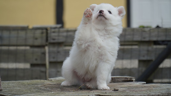 Product image 1 of 8