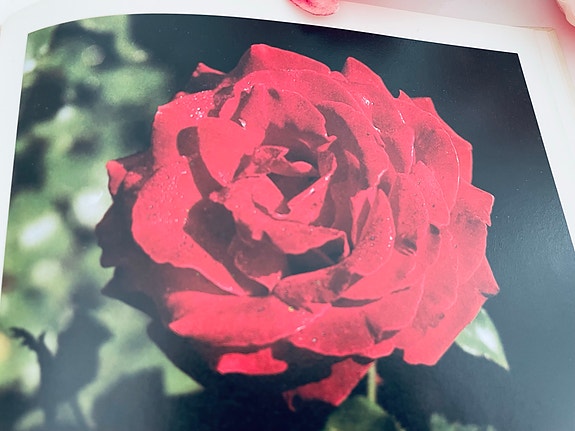 Product image 4 of 14