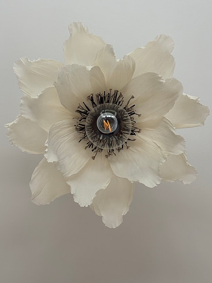 Product image 11 of 11