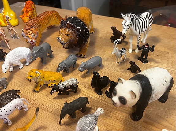 Product image 5 of 10