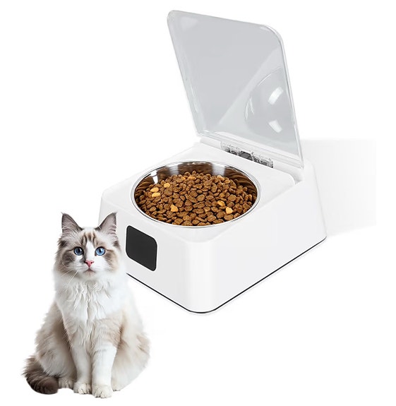 Product image 1 of 10