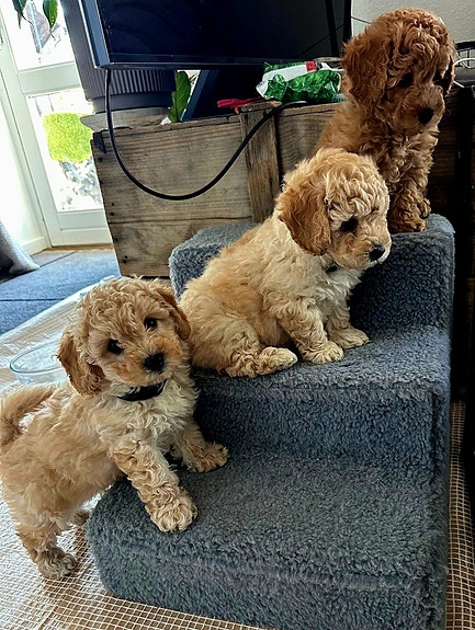 Product image 1 of 10