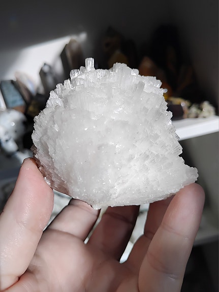 Product image 1 of 7