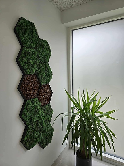 Product image 12 of 20