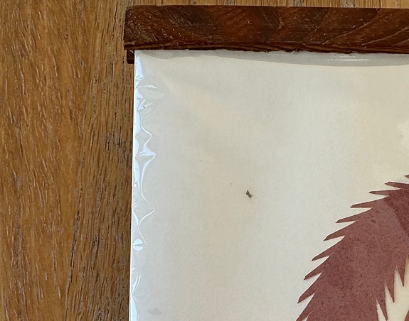 Product image 17 of 27
