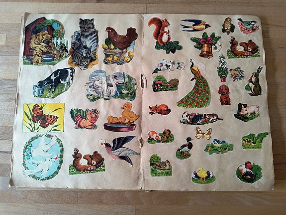 Product image 7 of 10