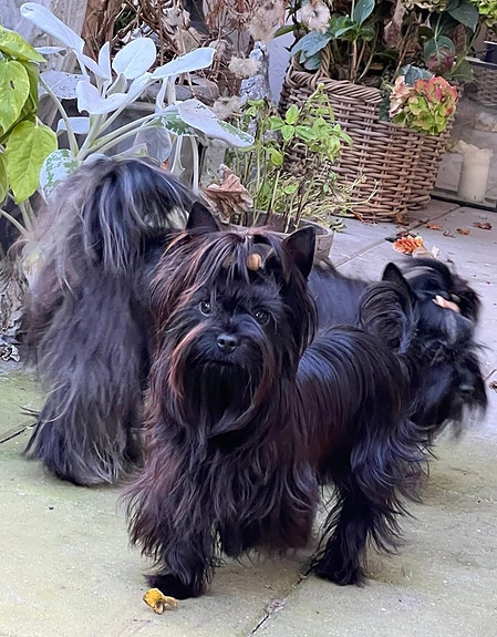 Product image 1 of 10