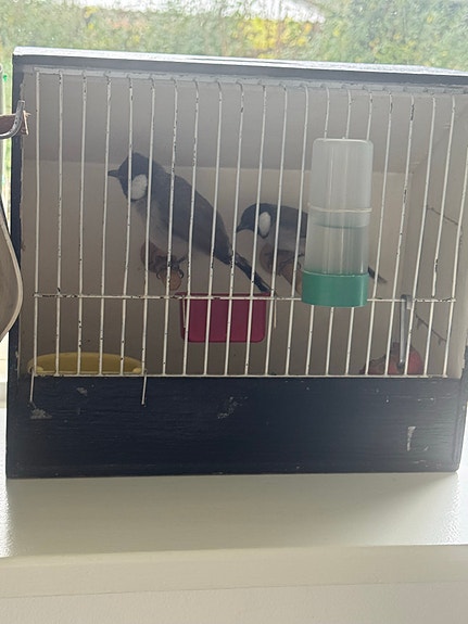 Product image 1 of 8