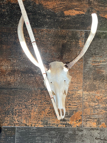 Product image 11 of 12