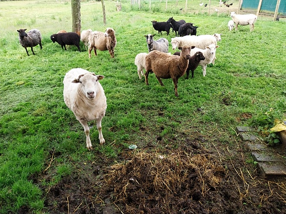 Product image 1 of 7