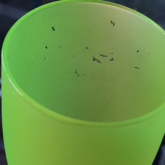 Product image 15 of 16