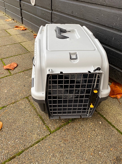 Product image 1 of 6