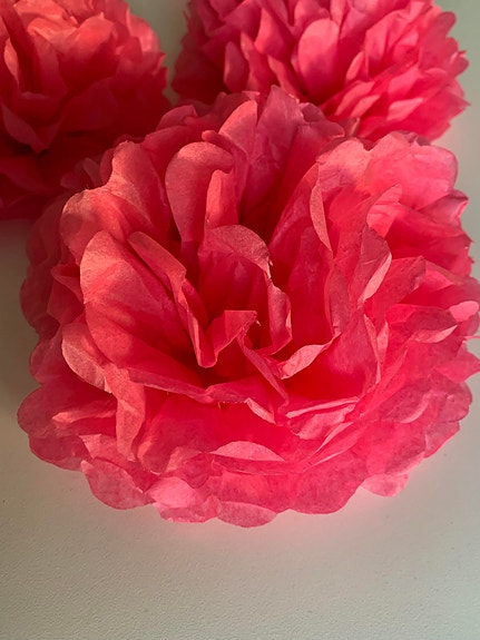 Product image 16 of 16