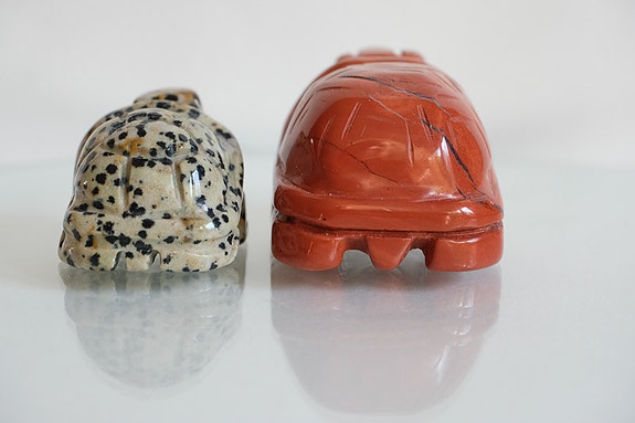 Product image 16 of 17