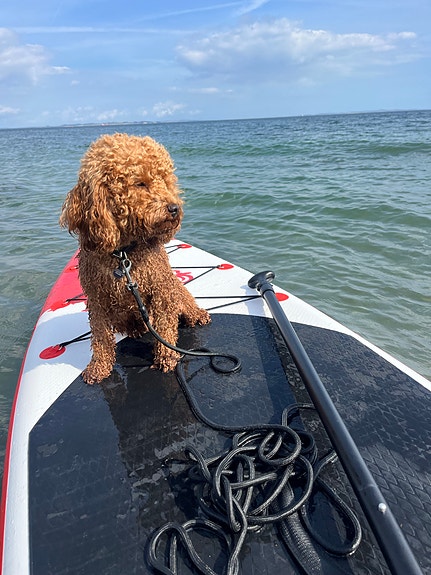 Product image 4 of 9