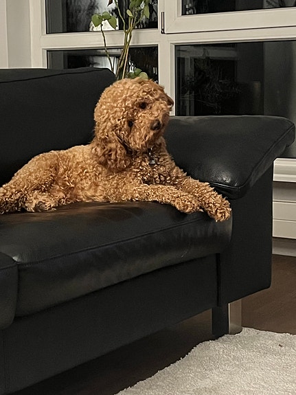 Product image 6 of 9