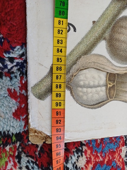 Product image 16 of 25