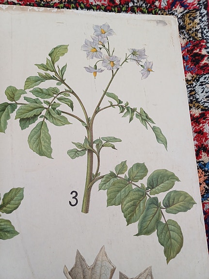 Product image 23 of 25
