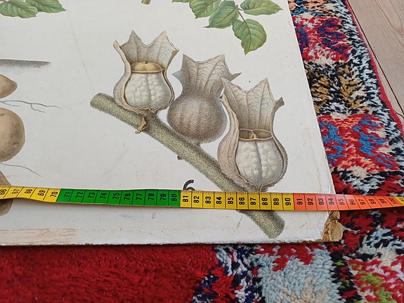 Product image 15 of 25