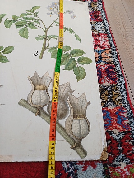Product image 17 of 25