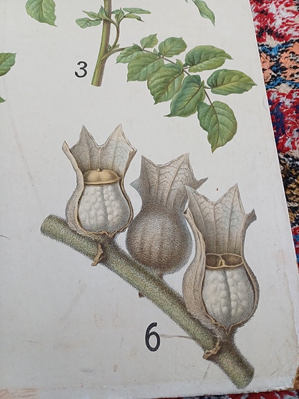 Product image 22 of 25
