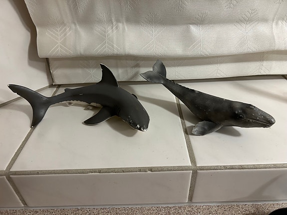 Product image 1 of 10